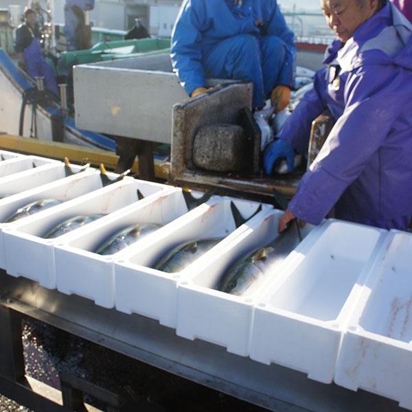 種類豐富的日本海水養殖漁業